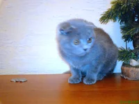 DSC00153.JPG