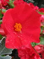 IMG_5528 [1280x768].webp