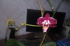 IMAG0073.jpg