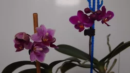 P2202161.webp