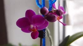 P2202164.webp