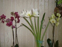 DSC02753.webp