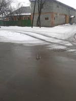 2013-02-20 11.03.58.webp