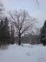 53_big.webp