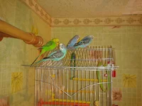2013-01-27 17.46.51.webp