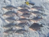 2013-02-22 14.28.06.webp