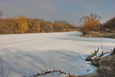 Jurka-1.webp
