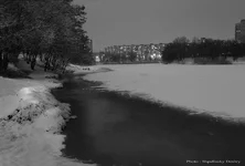 _SHP7871x2.webp