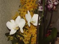 P2230212.webp