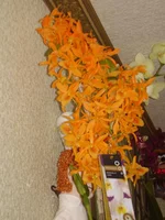 P2230215.webp