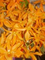 P2230216.webp