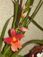 P2230218.webp