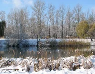 IMG_0104.webp