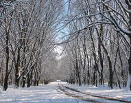 IMG_0132.webp
