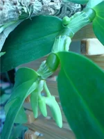DSC04483_1.webp