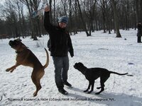 IMG_2871.jpg