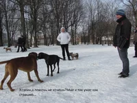 IMG_2885.jpg