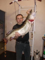 DSCN0883.webp