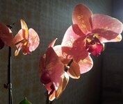 20130226_081654.jpg