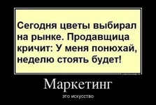  цветы.webp