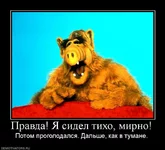 713127_pravda-ya-sidel-tiho-mirno.webp