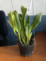 28022013727.webp