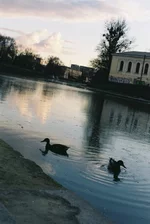 000035.webp