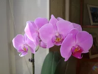 DSC03518.webp