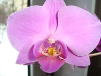 DSC03445.JPG