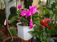 DSC03298.webp