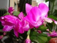 DSC03296.webp