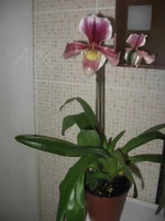 IMG_1592.webp
