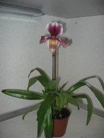 IMG_1599.webp