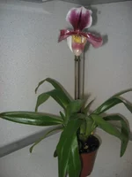 IMG_1601.webp