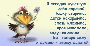 .webp