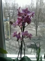 0089.webp