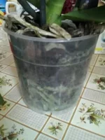 0094.webp