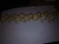 16022013384.webp