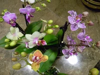 D5SCN2474.webp