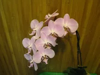 IMG_2900.webp