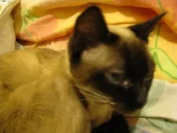 IMG_2867.webp