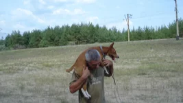 DSC04734.webp