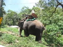IMG_3940.JPG