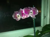 03032013736.webp
