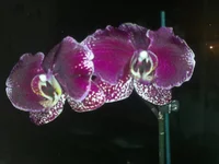 03032013737.webp