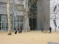IMG_5103 (Small).webp