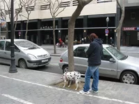 IMG_5129 (Small).webp