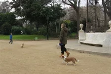 IMG_5227 (Small).webp