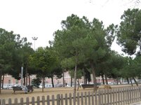 IMG_5239 (Small).JPG