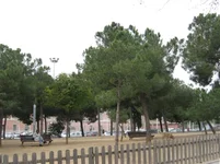 IMG_5239 (Small).webp